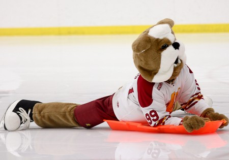 The Big Dawg: Brutus is the face of Ferris State and is involved in sporting events, visitor days and cultural events on campus. Photo By: Brock Copus | Photographer