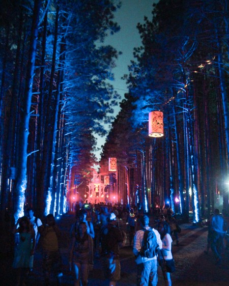 The Sherwood Forest at night during day two of Electric Forest festival.