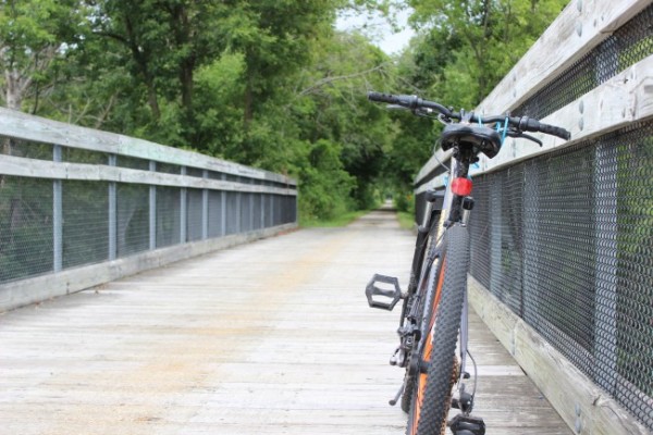 The White Pine Trail's bridge runs over the Muskegon River in Big Rapids.