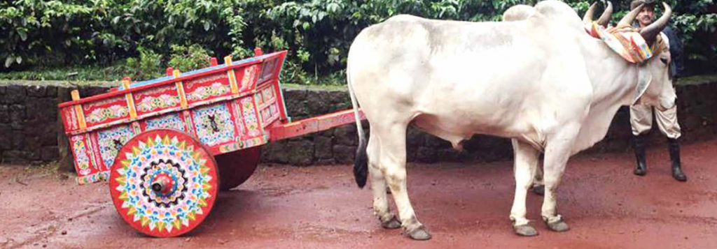 Pictured above is a decorative oxen-drawn cart in Costa Rica used to transport coffee beans.